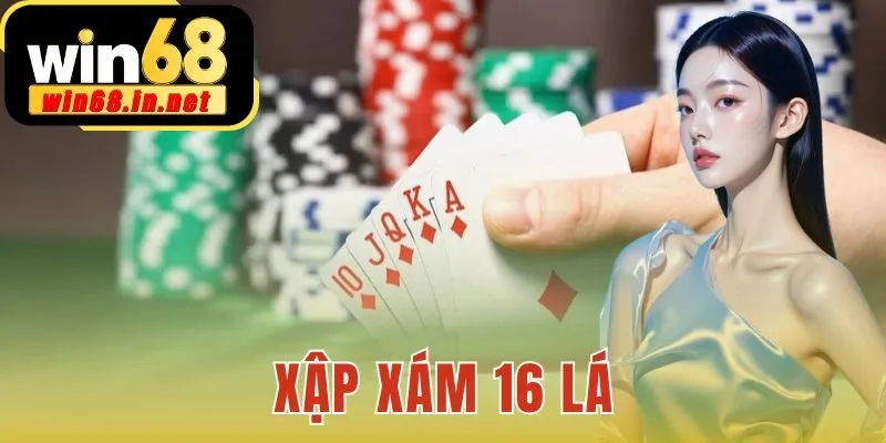 Xập Xám 16 Lá